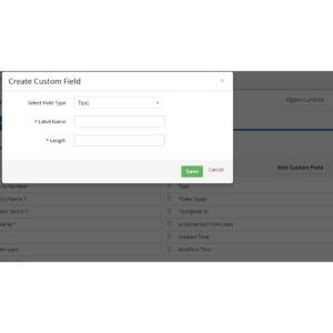 iX ERP CRM Custom Fields