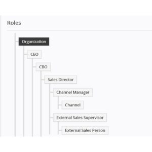 iX ERP CRM Organisation Role